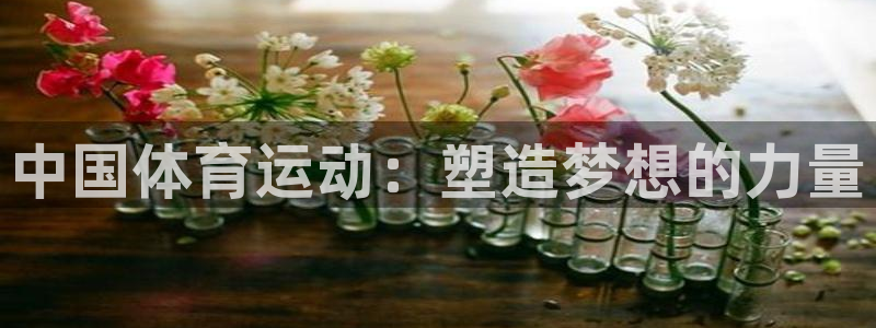 米兰体育下载：中国体育运动：塑造梦想的力量