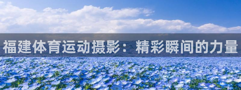 米兰体育在线