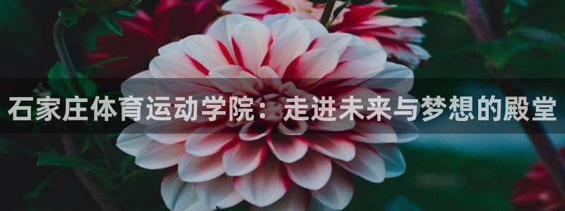 米兰体育下载官网最新版：石家庄体育运动学院：走进未来与梦想的殿堂