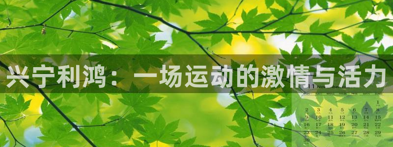 米兰体育下载