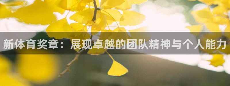 米兰体育.：新体育奖章：展现卓越的团队精神与个人能力